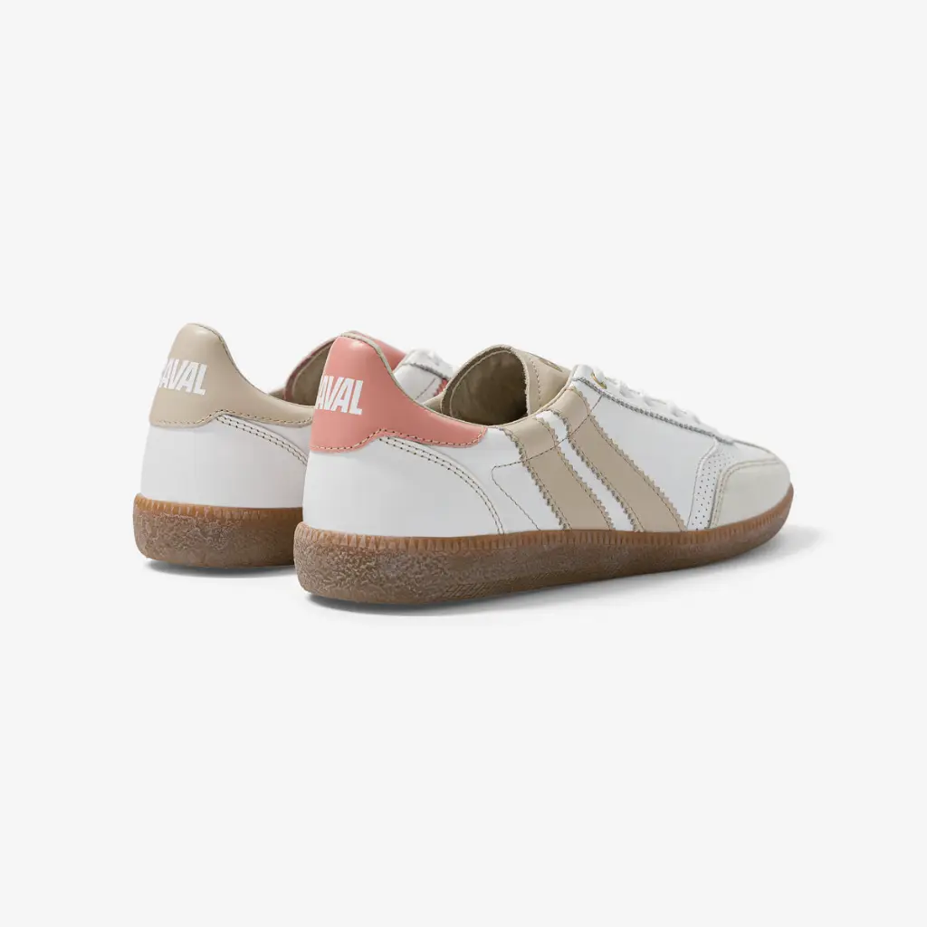 PULSE CORAL DREAM 2.webp