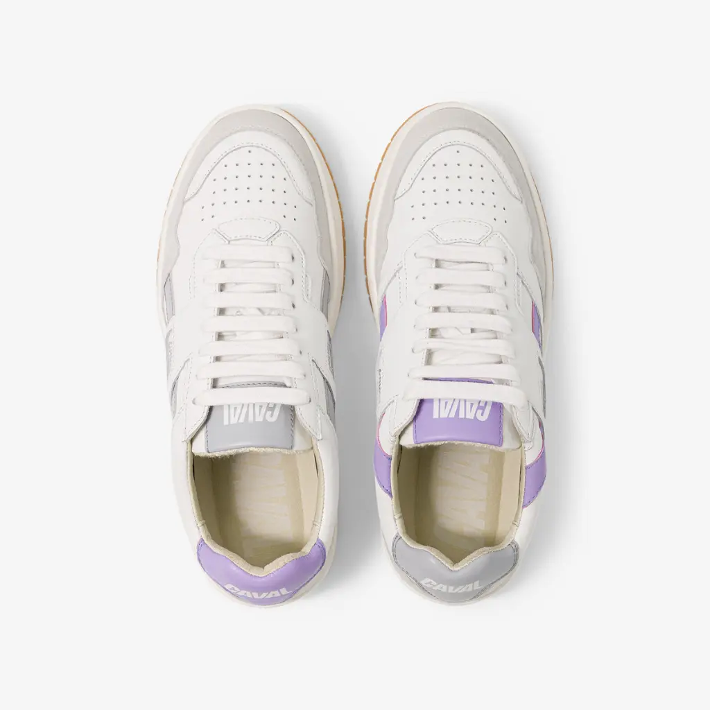 purple dust2.webp
