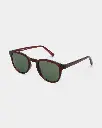 BATE BROWN TRANSPARENT 4.webp
