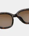 BILLY DEMI TORTOISE 3.webp