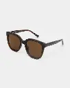 BILLY DEMI TORTOISE 4.webp