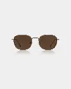HELLO MATTE BROWN 2.webp