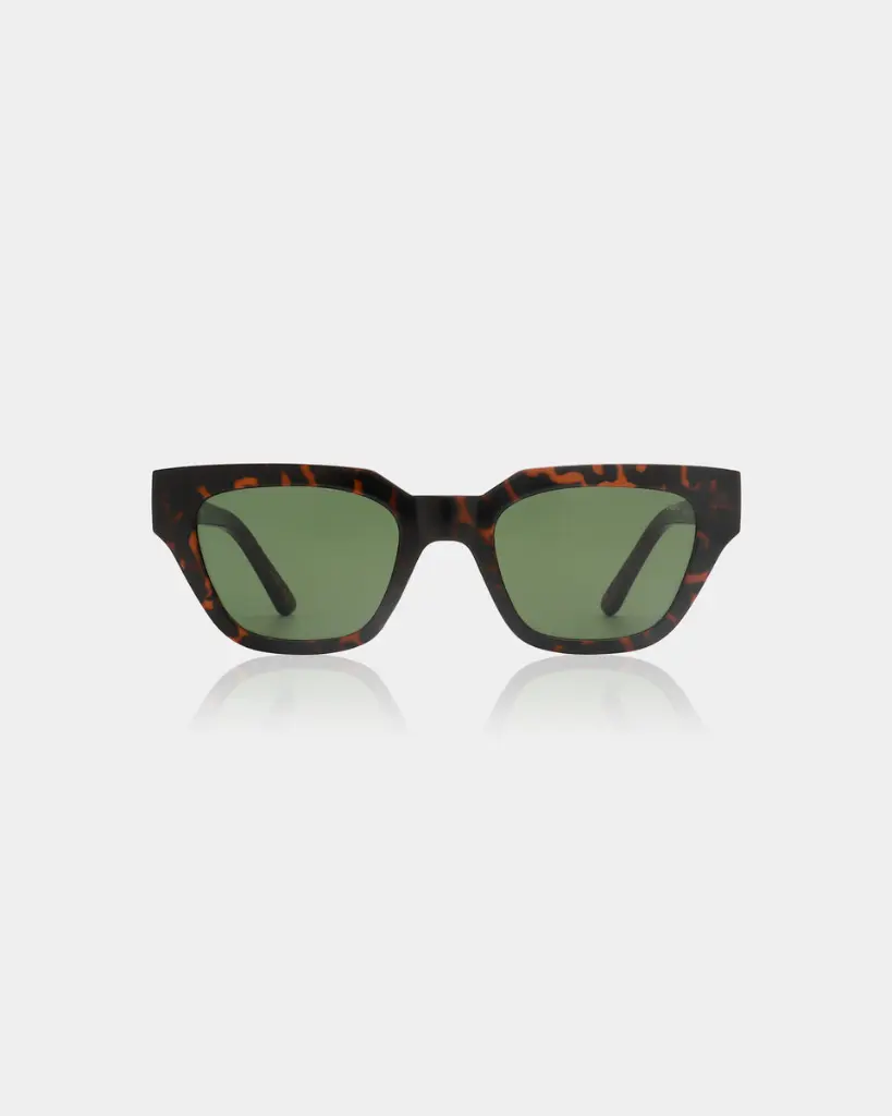 KAWS DEMI TORTOSE 2.webp