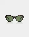 KAWS DEMI TORTOSE 2.webp