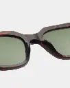 KAWS DEMI TORTOISE 3.webp
