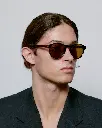 MARVIN DEMI TORTOISE 6.webp