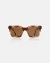 NANCY DEMI BROWN 2.webp