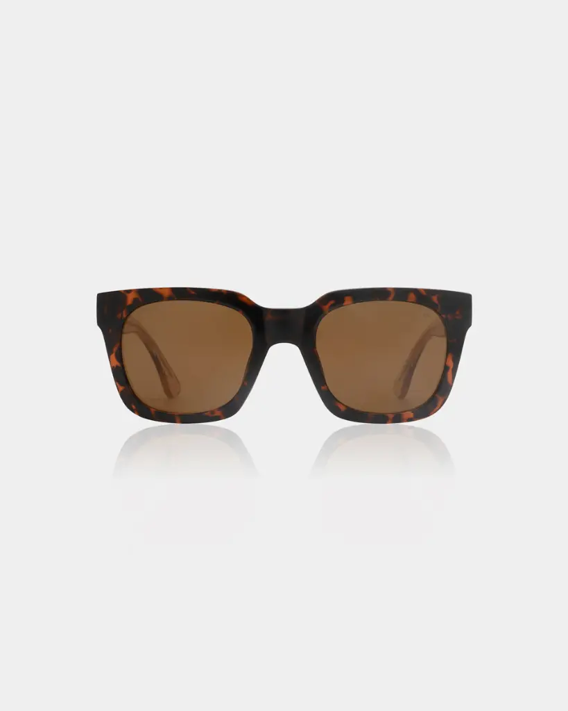 NANCY DEMI TORTOISE 2.webp