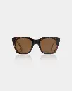 NANCY DEMI TORTOISE 2.webp