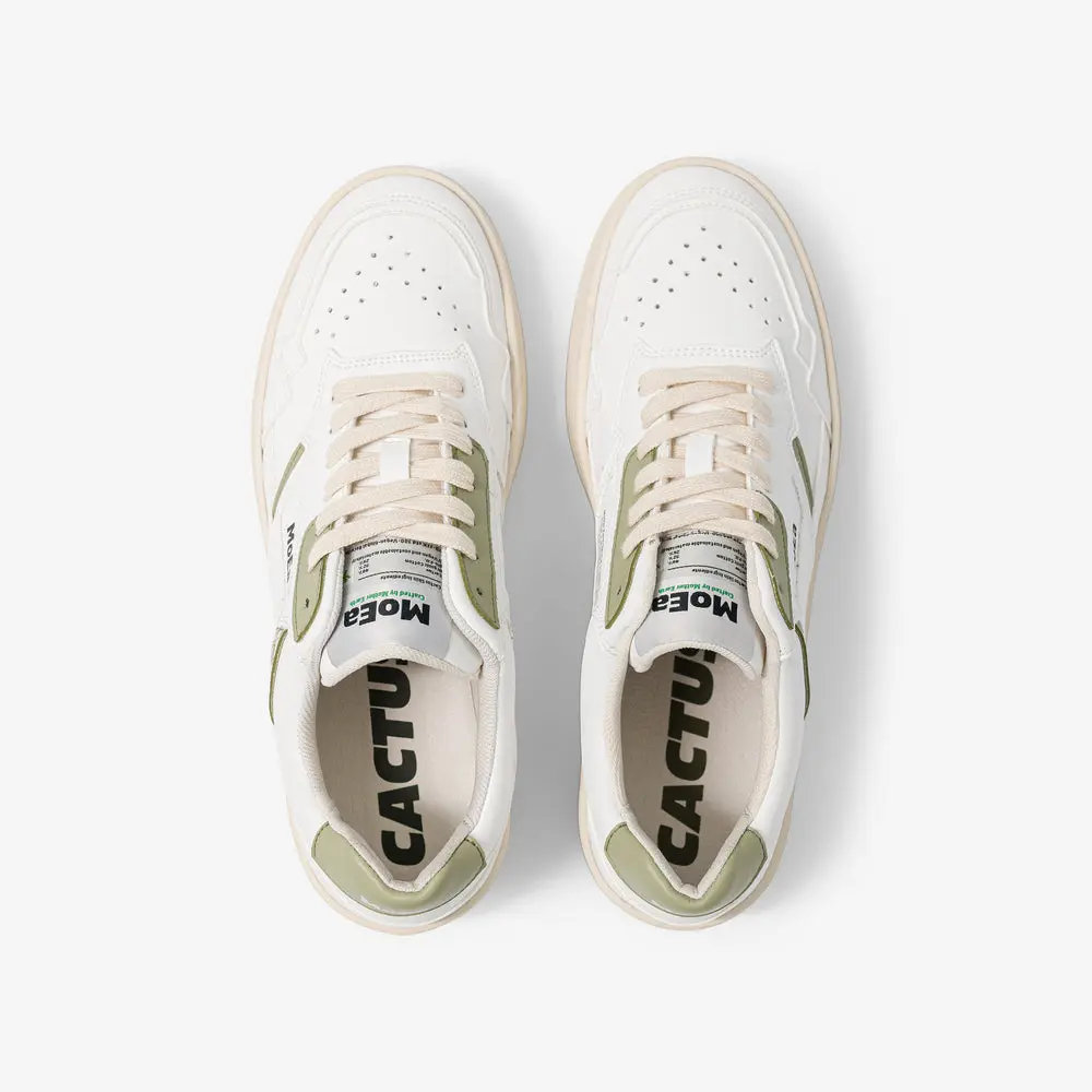 GEN 1 WHITE ALOE 4.webp