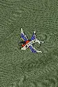 ADAM BIRD 2.webp