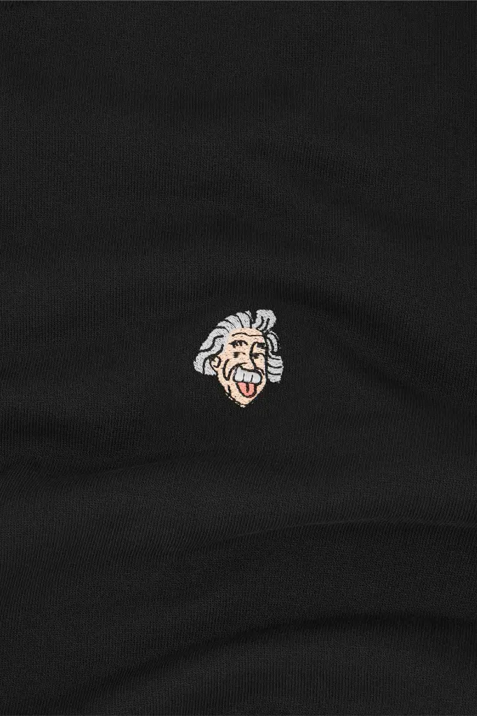 EINSTEIN 2.webp