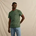 ARCY MONSTERA (3).webp