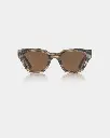 STRIPED HORN (6).webp