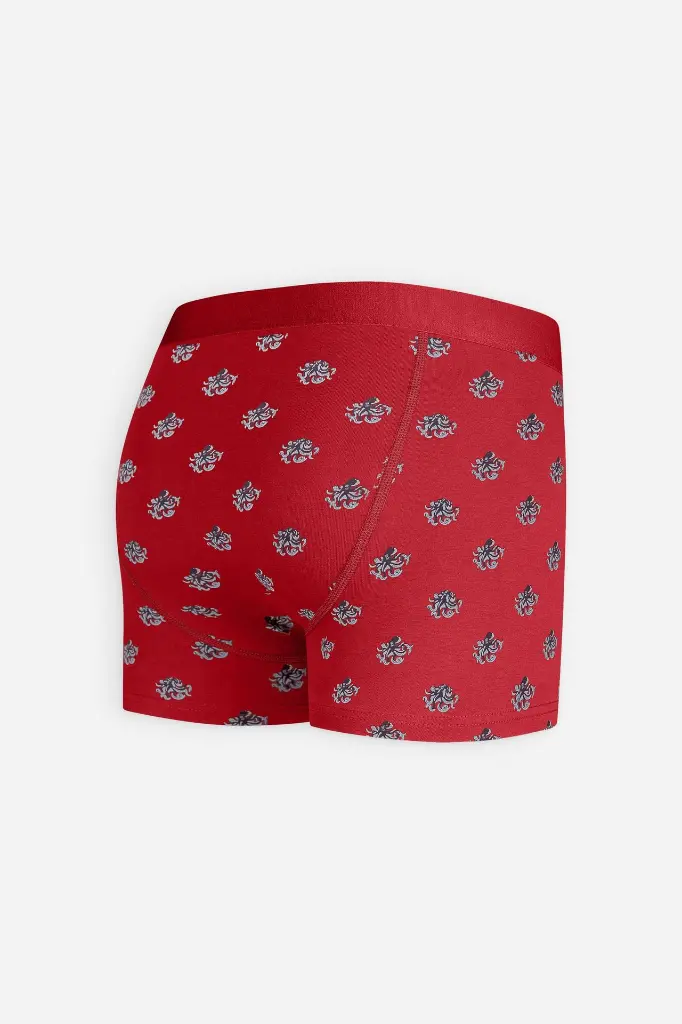 RED OCTOPUS (2).webp