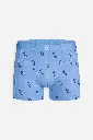 BLUE MOBILE (2).webp