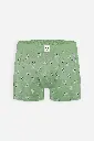 GREEN CALCULATOR (2).webp