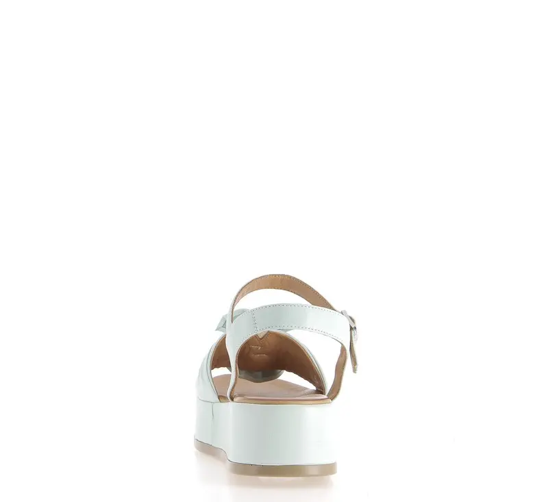 MAILANE ACQUA (1).webp