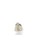 ECKERMANN CHAMPAGNE (1).webp