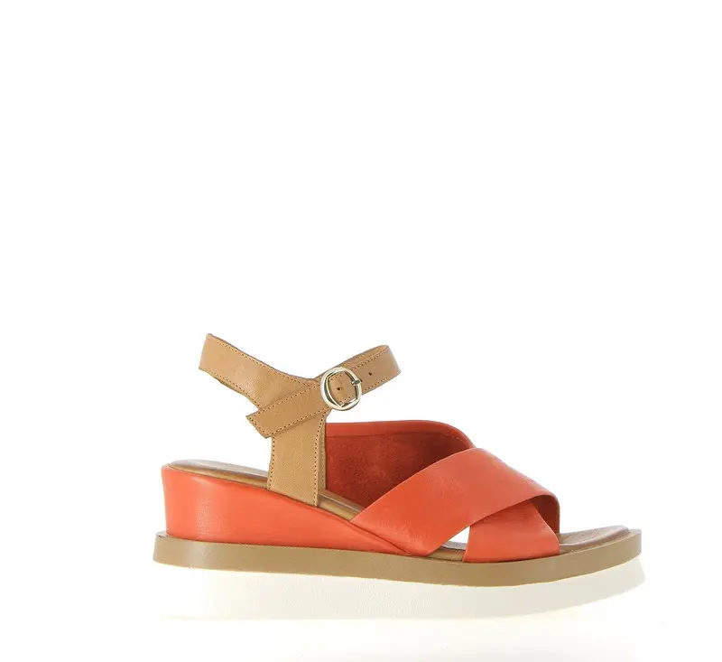 MAILLAT CORAIL (2).webp