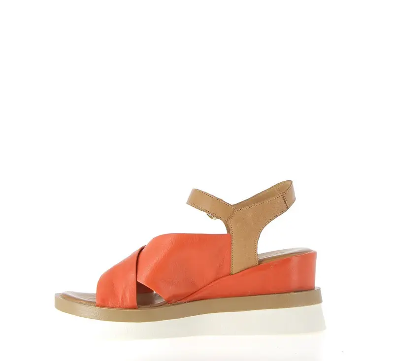 MAILLAT CORAIL (5).webp