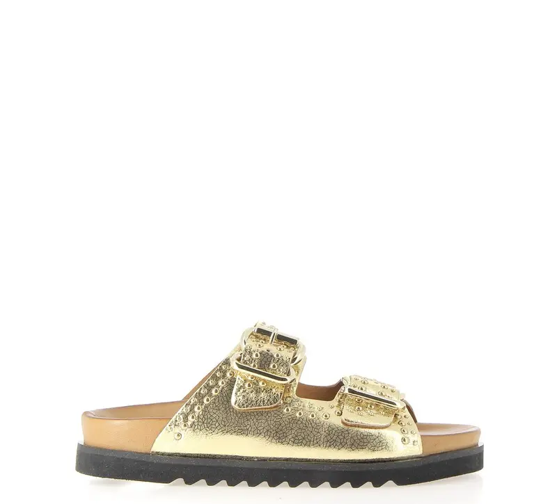 MAINXE PLATINE (2).webp