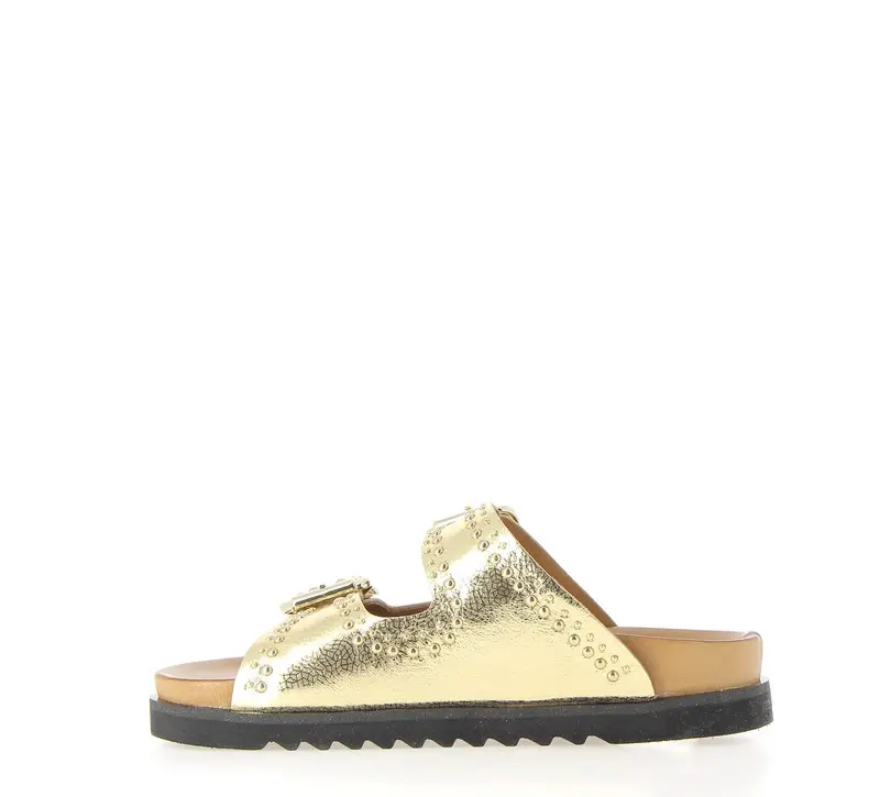 MAINXE PLATINE (5).webp