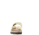 MAINXE PLATINE (4).webp