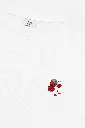 SODA ROSE (3).webp