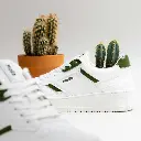 CACTUS.webp