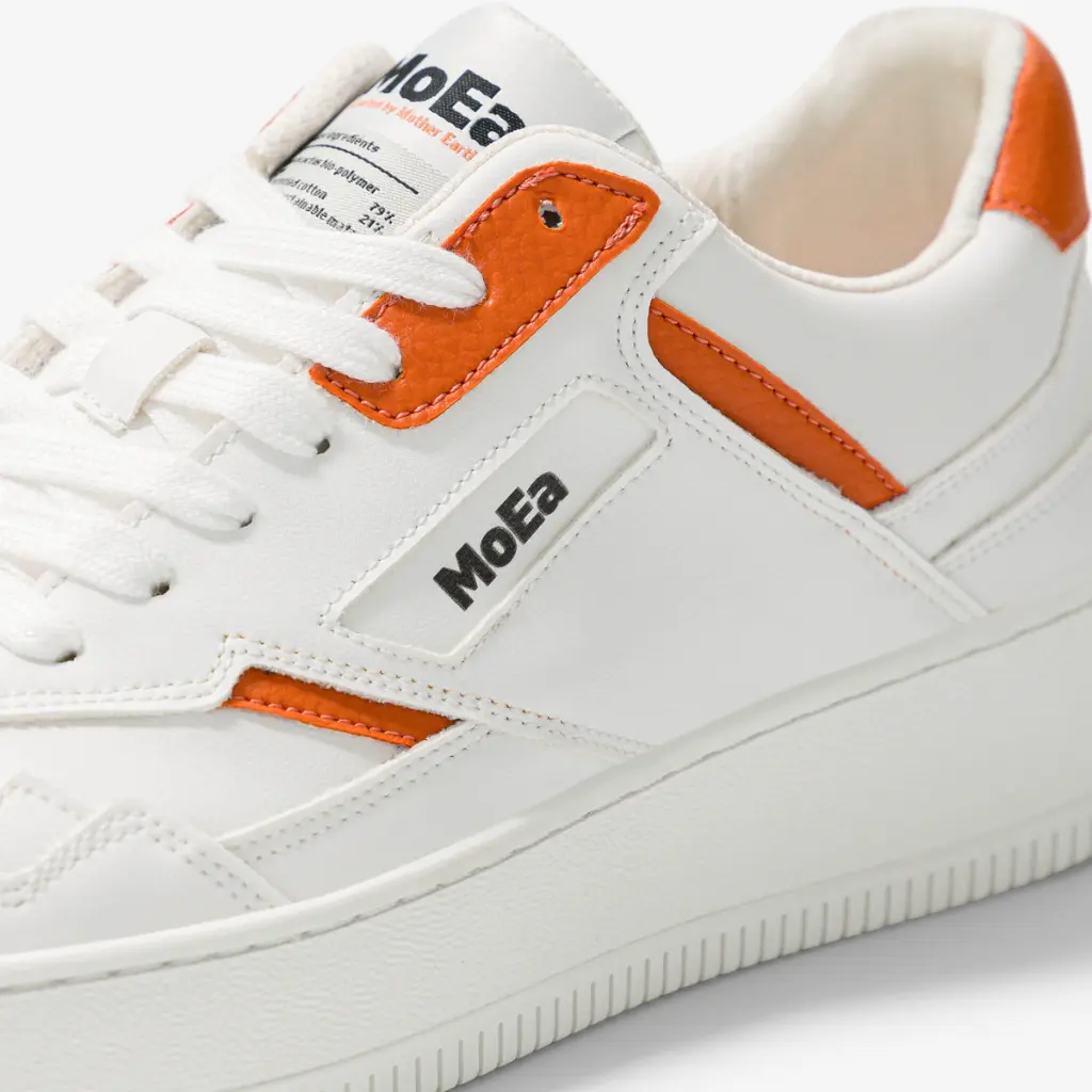 ORANGE (5).webp