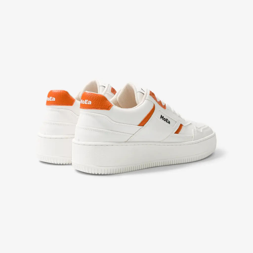 ORANGE (4).webp