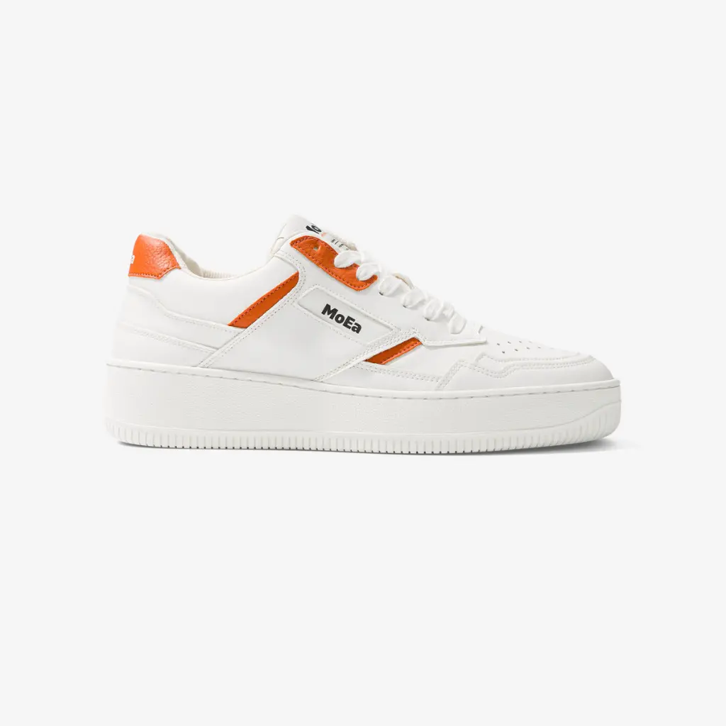 ORANGE (3).webp