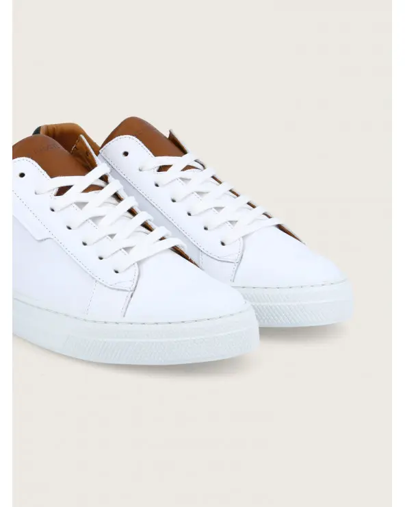 CEDRE COGNAC (2).webp