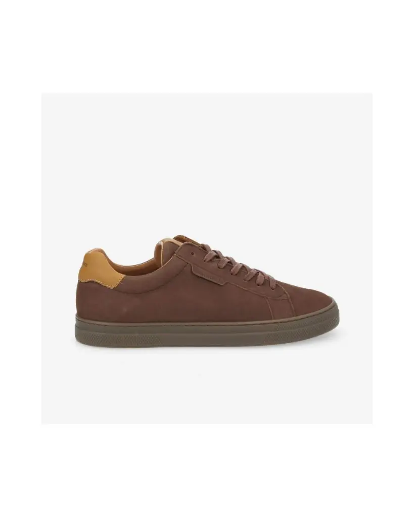 CIGAR TAN (1).webp
