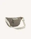 CAMBIUM BEI01 (3).webp