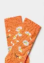 DAISY ORANGE (1).webp