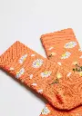 DAISY ORANGE (2).webp