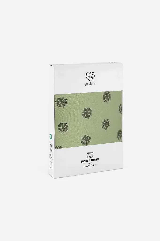 BOXER BRIEF - SAGE LUCKY
