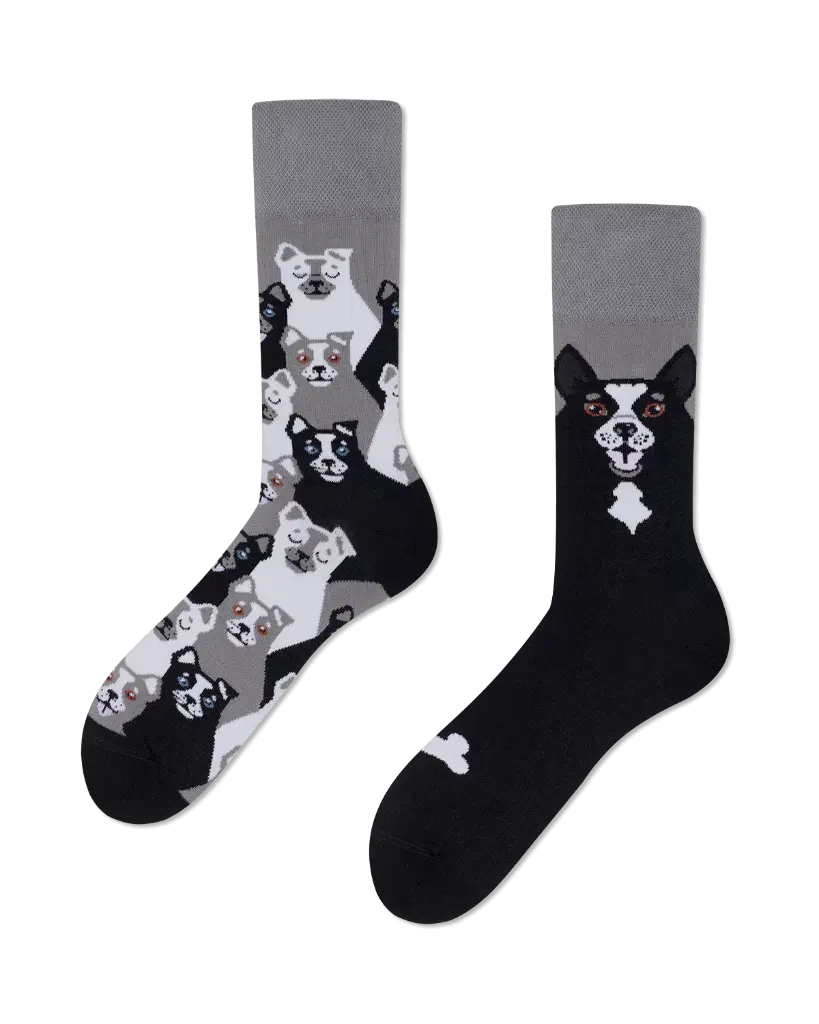 Regular Socks BLACK DOG