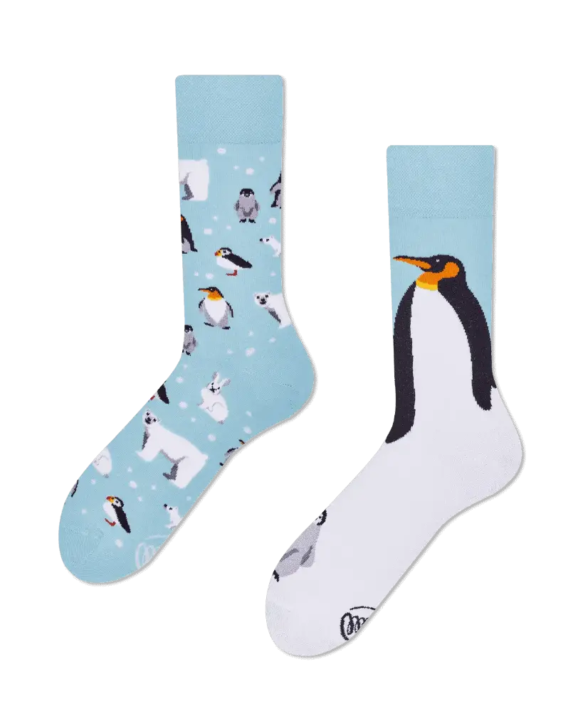 Regular Socks FROSTY FRIENDS