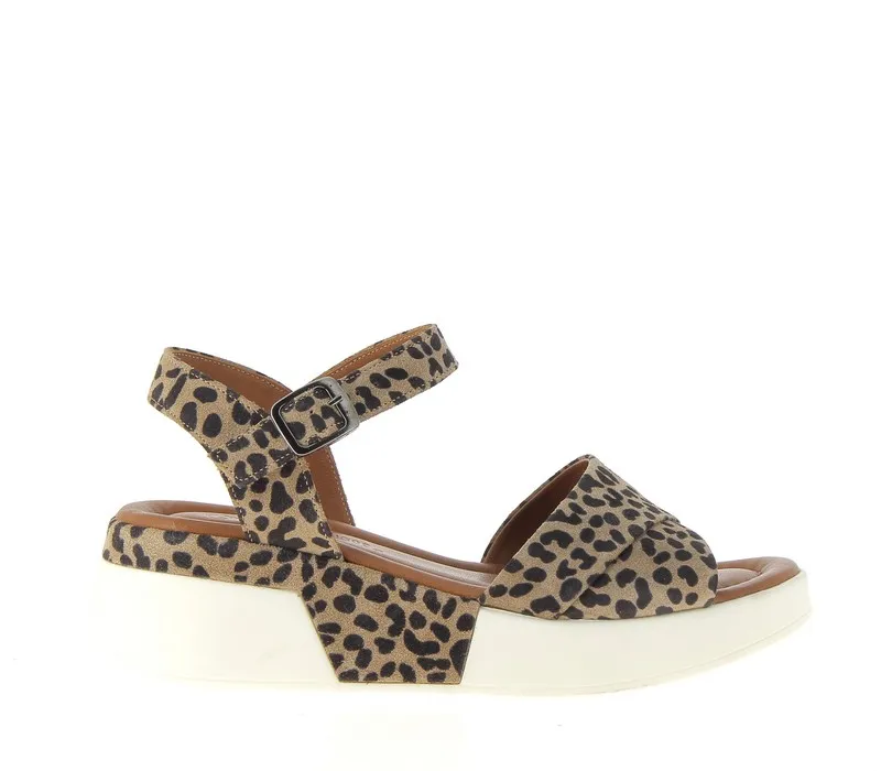 MAHALON-BISCUIT (36)