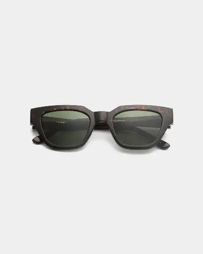 KAWS - DEMI TORTOISE 