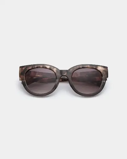 LILLY - COQUINA 