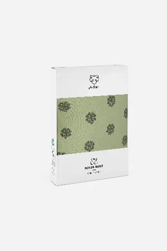 BOXER BRIEF - SAGE LUCKY